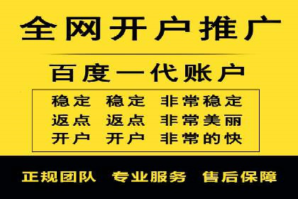 SEM广告投放策略：成功案例解析